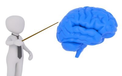 Os tentáculos das ideologias chegam nas organizações